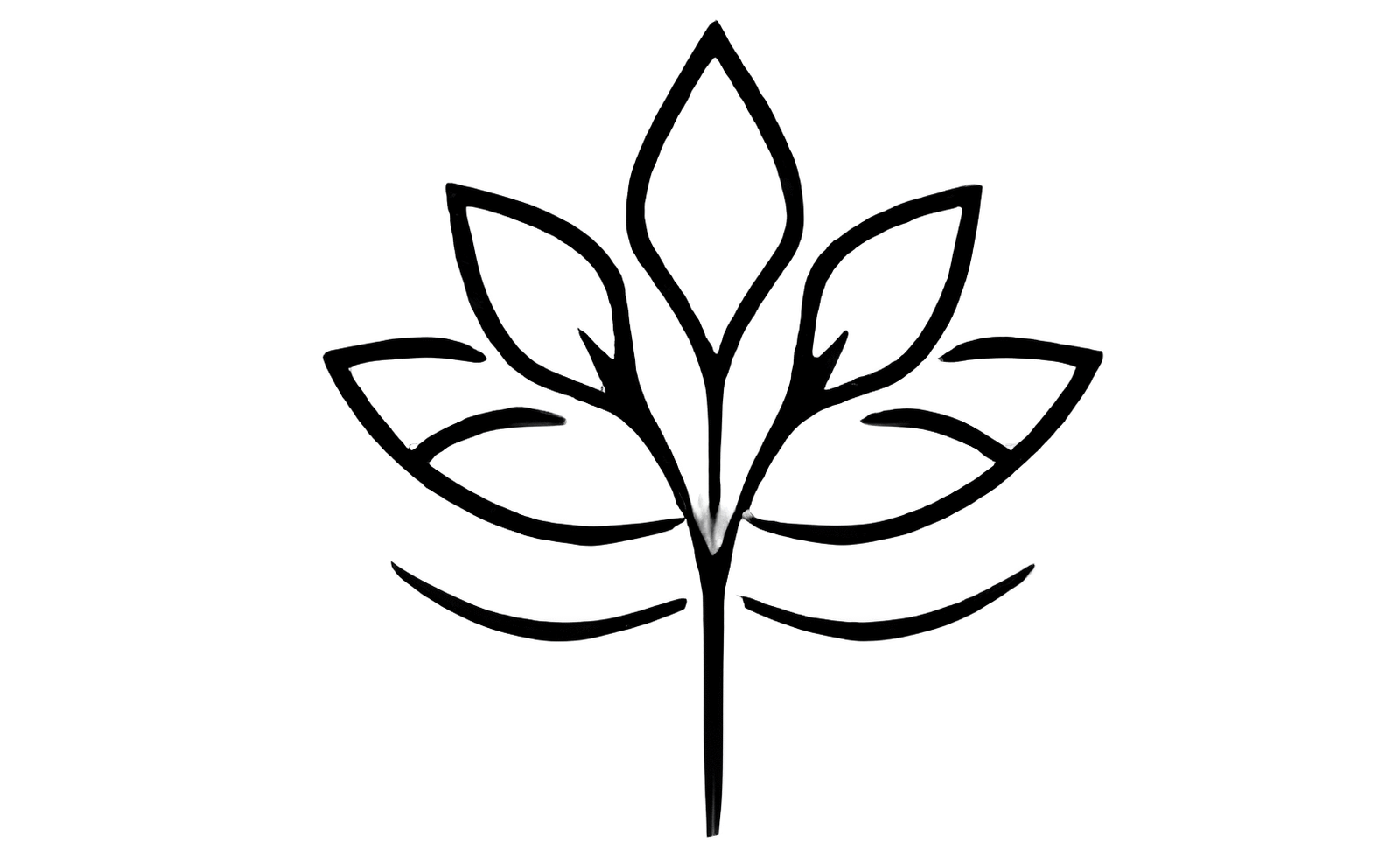 Logotipo para clínica de cirugía estética Madeira.